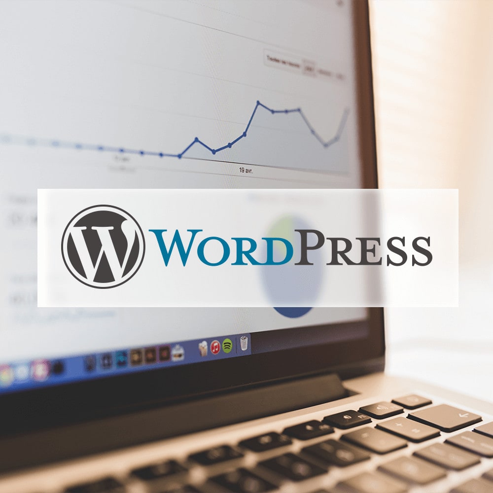 WordPress und SEO: Die hartnäckigsten Fehler, die Ihre Sichtbarkeit kosten