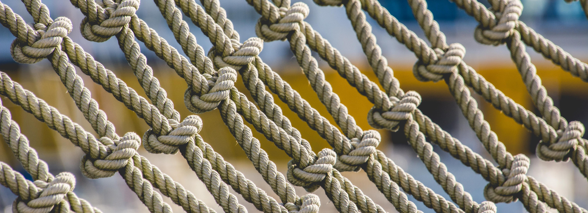 404-Fehler und User Experience: Ein Leitfaden f&uuml;r optimale Website-Navigation